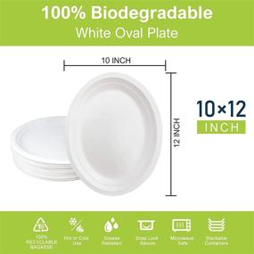 img 3 attached to 🍽️ BangShou 12" Large Oval Paper Plates – Compostable Bagasse Fiber Disposable Heavy Duty White Plates, 30-Pack