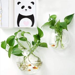 img 1 attached to GREENWISH 2Pack 5.9'' Wall Mounted Clear Acrylic Round Fish Tank Flower Pot Vase: Beautiful Wall Hanging Mount Fish Bowl Aquarium Decorative Plant Pot Hanging Hydroponic Pot