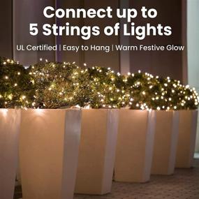 img 1 attached to 🎄 Versatile Prextex 100-Count Clear Green Wire Christmas Lights: Perfect for Tree Decoration, Weddings, Holidays, Parties, and Outdoor Use!