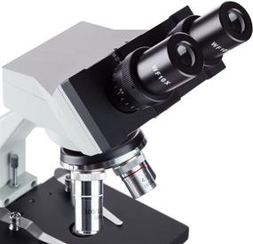 img 2 attached to 🔬 AmScope B100B-MS Compound Binocular Microscope: 40X-2000X Magnification, Brightfield, Tungsten Illumination, Abbe Condenser, Mechanical Stage - High-quality lab equipment