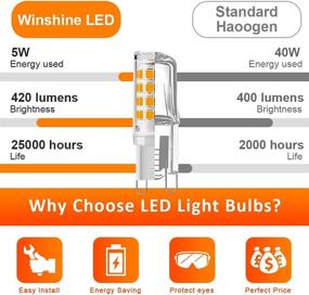 img 3 attached to SBOJZM Equivalent AC110V 220V No Dimmable Chandelier Industrial Electrical