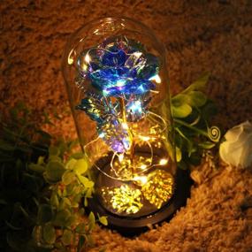 img 3 attached to 🌹 Blingstar Glass Rose: Illuminated Blue Rose in Glass Dome, perfect Eternal Flower Nightlight for Bedroom Decor - Ideal Gift for Mom, Wife, Girlfriend on Christmas, Birthday, Thanksgiving, Anniversary
