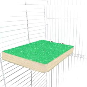 img 1 attached to 🦜 Yiflin Bird Perch Stand Platform: Premium Natural Wooden Playground for Parrot, Parakeets, and Small Birds