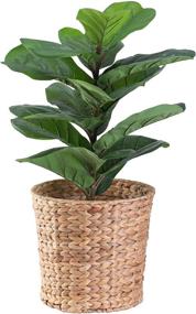 img 4 attached to 🗑️ Versatile Round Water Hyacinth Waste Basket - Ideal for Bathrooms, Bedrooms, and Offices