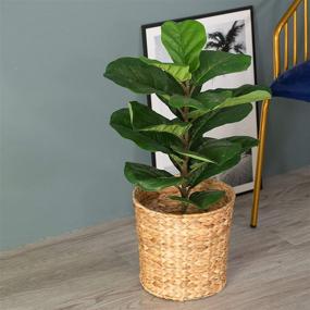 img 3 attached to 🗑️ Versatile Round Water Hyacinth Waste Basket - Ideal for Bathrooms, Bedrooms, and Offices