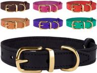 🐶 bronzedog genuine leather dog collar - adjustable & durable collars for dogs: small, medium, large sizes - puppy, black, brown, red, pink, purple, green logo