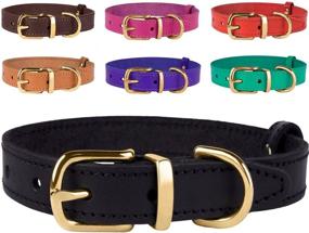 img 4 attached to 🐶 BRONZEDOG Genuine Leather Dog Collar - Adjustable & Durable Collars for Dogs: Small, Medium, Large Sizes - Puppy, Black, Brown, Red, Pink, Purple, Green