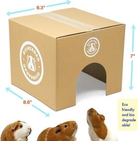 img 3 attached to Enhance Your Guinea Pig's Habitat with GuineaDad Crunchy Condo Hideaway Hideout (Pack of 3) – Perfect Guinea Pig Hidey, Accessories, and Toys!