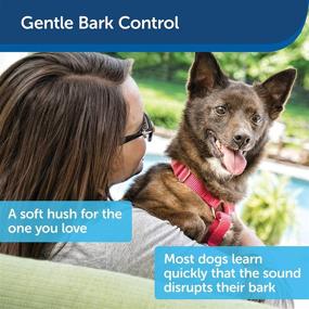 img 2 attached to 🐶 PetSafe Outdoor Ultrasonic Bark Control - Effective No Barking Deterrent for Dogs of Any Size - Covers up to 1/4 Acre (50 ft) - Automatically Activated - Weatherproof - Ideal for Backyards - Birdhouse Inspired Design