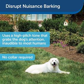 img 3 attached to 🐶 PetSafe Outdoor Ultrasonic Bark Control - Effective No Barking Deterrent for Dogs of Any Size - Covers up to 1/4 Acre (50 ft) - Automatically Activated - Weatherproof - Ideal for Backyards - Birdhouse Inspired Design
