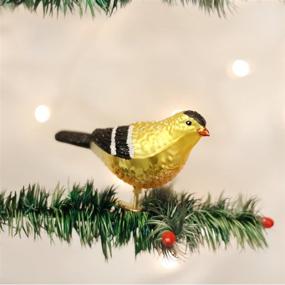 img 2 attached to 🐦 Old World Christmas Ornaments: Bird Watcher Collection - American Goldfinch Glass Blown Ornaments for Christmas Tree