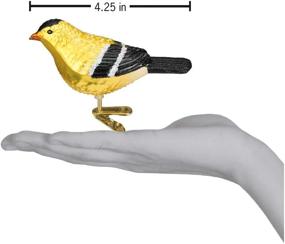 img 1 attached to 🐦 Old World Christmas Ornaments: Bird Watcher Collection - American Goldfinch Glass Blown Ornaments for Christmas Tree