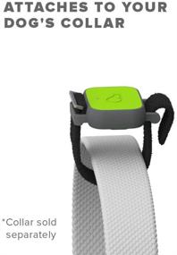 img 2 attached to 🐾 Whistle FIT - Pet Health and Fitness Tracker - Track Pet Health, Nutrition, and Activity Levels, Water-Resistant, Behavior Monitoring for Licking, Scratching, Drinking, and Sleeping - Non-GPS Tracker