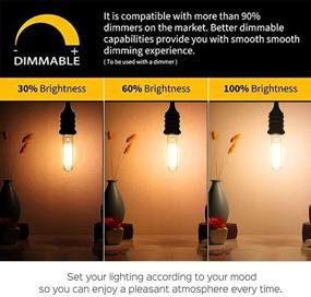 img 1 attached to 🔆 Warm White 2200K Amber Dimmable T10 Edison LED Tubular Bulb