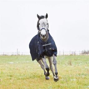 img 1 attached to 🐴 HORZE Avalanche 1200D Ripstop High Neck Heavyweight Waterproof Horse Turnout Blanket: Ultimate Winter Protection (300g Fill)