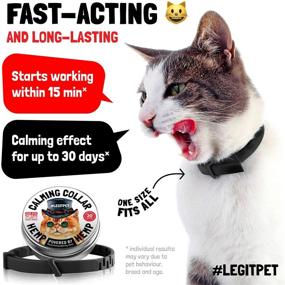 img 1 attached to 🐱 LEGITPET Cat Calming Collar with Hemp - Natural Pheromones to Reduce Cat Stress - Waterproof & Adjustable - Fits Up to 15 Inch - 30-Day Long-Lasting - Calmer Cat in 15 Minutes