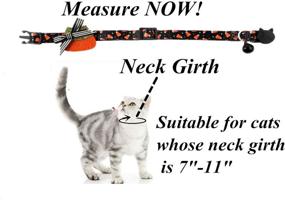 img 3 attached to BoomBone Halloween Collar Kitten Collars Cats