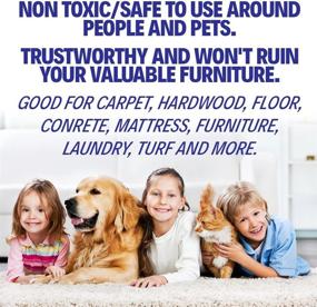 img 2 attached to REMOVEURINE: Powerful Pet Odor Eliminator & Urine Destroyer Spray for Home - Effective Urine Remover for Dogs and Cats - Professional Pet Carpet Cleaner