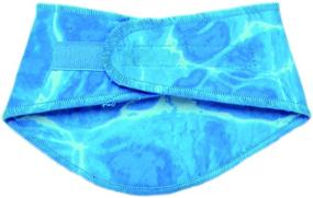 img 2 attached to ALL FOR PAWS Cooling Neck Wraps for Dogs, Ice Dog Bandanas, Dog Cooling Bandana, Chill Out Blue Dog Collar, Cat Collar, Neck Cooler, Neck Cooling