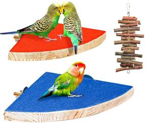 img 4 attached to 🦜 S-Mechanic Bird Perch Stand Birdcage Platform: Ideal for Small to Medium Parrots