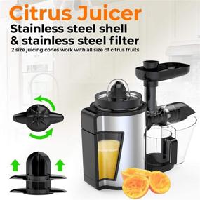 img 1 attached to 🍊 DORINI 2-in-1 Masticating Juicer & Citrus Juicer – Slow Juicer Cold Press Machine Extractor | Easy to Clean BPA-Free | Quiet Motor & Reverse Function | Silver Color