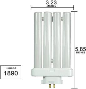 img 3 attached to Affordable and Efficient: Lowpricenice FML27 Compact Fluorescent Light