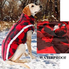 img 1 attached to 🐶 DuoOut Reversible Dog Coat: Warm, Waterproof, & Reflective Winter Jacket for Cold Weather - Padded Comfort & Safety