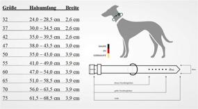 img 1 attached to 🐶 Hunter Swiss Nickel Pale Leather Dog Collar