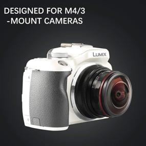 img 2 attached to 📷 MEKE 3.5mm f2.8 220 Degree Manual Focus Circular Fisheye Lens for Olympus Panasonic Lumix M4/3 MFT Mount Cameras