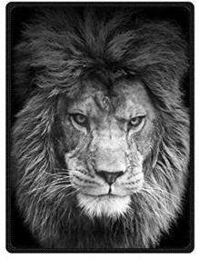 img 2 attached to 🦁 Превосходный плед HommomH 60 "x 80": модный лев, идеально подходит для кондиционирования воздуха