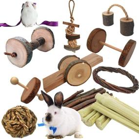 img 4 attached to 🐹 10 Pack of Natural Wooden Toys for Flourishing Guinea Pigs: Perfect Exercise & Teeth Care for Gerbils, Rats, Birds, and other Small Pets by Dbeans