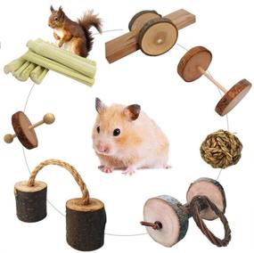 img 1 attached to 🐹 10 Pack of Natural Wooden Toys for Flourishing Guinea Pigs: Perfect Exercise & Teeth Care for Gerbils, Rats, Birds, and other Small Pets by Dbeans