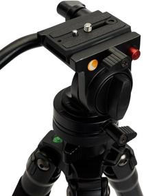 img 1 attached to Celestron Black Regal Premium 82052 Tripod
