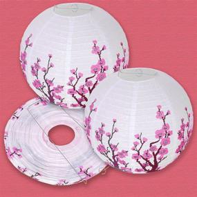 img 1 attached to 🌸 Smeiker Chinese Japanese Pink Cherry Blossom Flowers (5 Pack, 12" Diameter) - White Round Chinese Japanese Paper Lamp - Oriental Style Light for Chinese Restaurant, Wedding, Party, Home Decor, Gifts