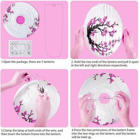 img 2 attached to 🌸 Smeiker Chinese Japanese Pink Cherry Blossom Flowers (5 Pack, 12" Diameter) - White Round Chinese Japanese Paper Lamp - Oriental Style Light for Chinese Restaurant, Wedding, Party, Home Decor, Gifts