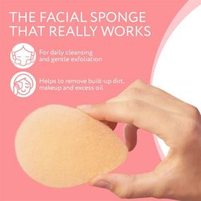 img 3 attached to 🌿 Daily Cleansing & Gentle Exfoliating: 10 Pack Facial Sponges for Effective Dead Skin, Dirt, & Makeup Removal - Made in the USA