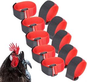 img 4 attached to Pssopp Anti Hook Rooster Collar Chicken