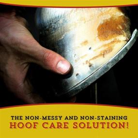 img 1 attached to 👣 Dr. Naylor Hoof 'N Heal: Effective Foot Rot & Wound Care for Sheep, Goats, Cows, and Horses – 16oz – 1 pack