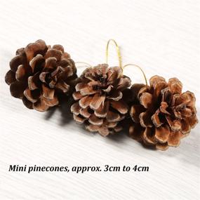 img 3 attached to 🌲 Cooraby 27 Pieces Mini Natural Hanging Ornament Christmas Pinecones - 3-4cm Pine Cones Pendant with String Tag Decoration