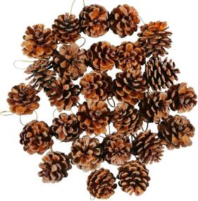 img 4 attached to 🌲 Cooraby 27 Pieces Mini Natural Hanging Ornament Christmas Pinecones - 3-4cm Pine Cones Pendant with String Tag Decoration