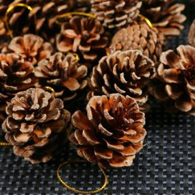 img 1 attached to 🌲 Cooraby 27 Pieces Mini Natural Hanging Ornament Christmas Pinecones - 3-4cm Pine Cones Pendant with String Tag Decoration