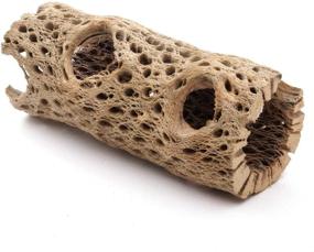 img 4 attached to My Pet Patrol - Premium All Natural Teddy Bear Cholla Wood: Large Hollow Driftwood for Aquarium Decoration, 🐾 Chew Toy for Shrimp and Crab - Sizes 3 to 48 Inch, Organic and Untreated - Available in Multi-Quantity Options