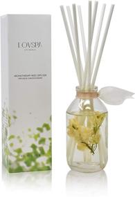 img 3 attached to LOVSPA Coconut Reed Diffuser Beautiful