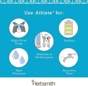 img 1 attached to 🐾 Herbsmith Athlete – Canine Endurance Supplement for Working and Agility Dogs – Enhancing The Performance of Canine Athletes