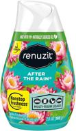 renuzit after the rain air freshener - 7 ounce, adjustable for maximum freshness logo