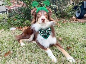 img 2 attached to Patricks Costume Shamrock Headband Buffalo