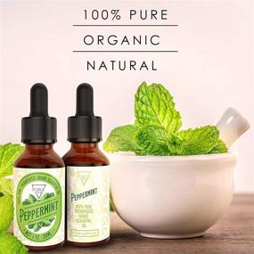 img 2 attached to 🌿 Pure French Peppermint Essential Oil [Relaxing Scent] - Glass Amber Bottle with Dropper | Organic Therapeutic Grade for Diffusers, Aromatherapy, Headache & Pain Relief, and Deep Sleep | Ideal for Candles & Massage (1 OZ)