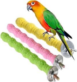 img 4 attached to kathson Bird Perch Parrot Stand Cage Accessories - Natural Wooden Stick Paw Grinding Rough-surfaced Chew Toy for Cockatiels, Cockatoo, Lorikeet, Conure, Parakeet - 3 Pack (Random Color)