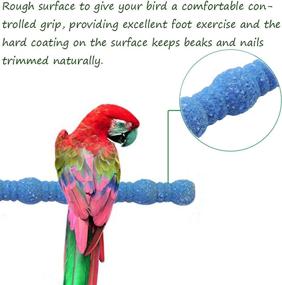 img 2 attached to kathson Bird Perch Parrot Stand Cage Accessories - Natural Wooden Stick Paw Grinding Rough-surfaced Chew Toy for Cockatiels, Cockatoo, Lorikeet, Conure, Parakeet - 3 Pack (Random Color)