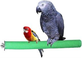img 4 attached to 🐦 KINTOR Bird Perch - Rough-surfaced Natural Wood Stand Toy Branch for Parrots (Colors Vary)